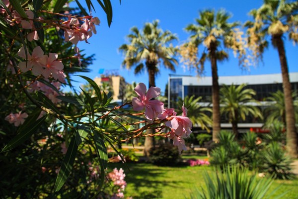 Сочи — яркие краски любимого города