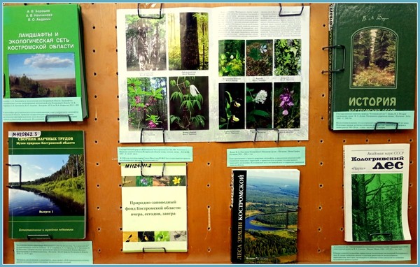 В заповедном лесу снятся светлые сны