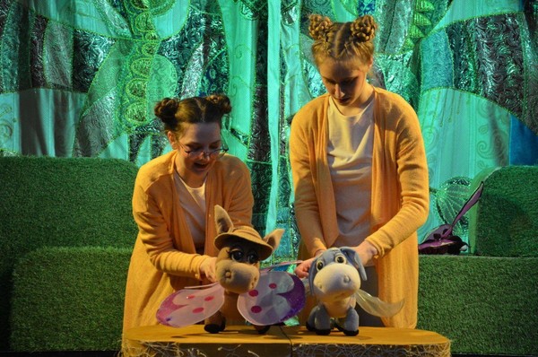 Спектакль «Мечта маленького Ослика»