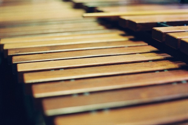 XX век начинается