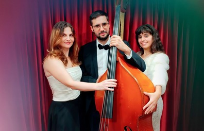 Трио «Дикий Гонзалес»