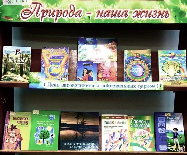 «Душу исцелит добро…»