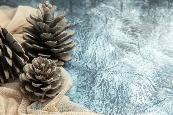 «Зимние узоры»