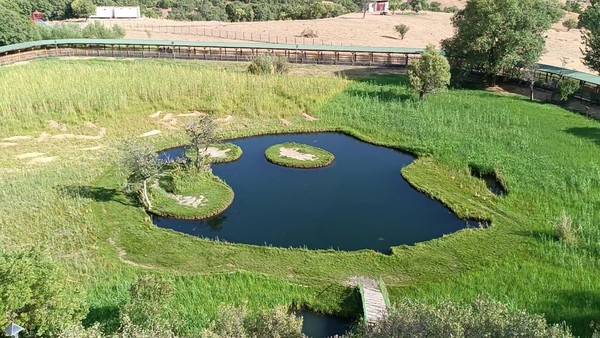 Лекция «Путешествия по миру. Бингель»