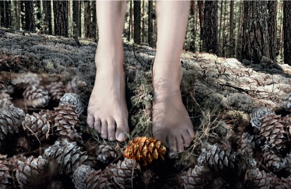 Спектакль «Праздник шишки»