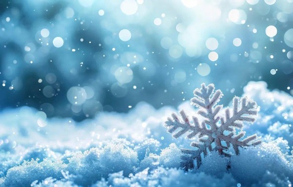 Выставка «Символы Нового года»