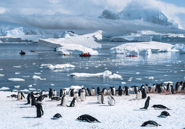«Путешествие в Антарктиду»