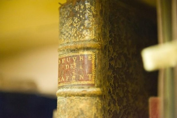 Лекция Л.Г. Ларионовой «Истории редких книг: как становятся раритетами»