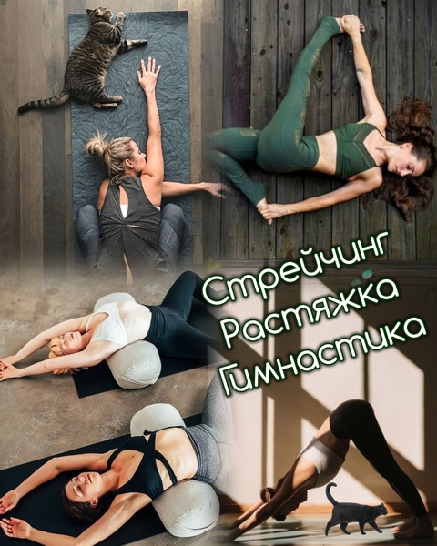 Гимнастика, стрейчинг "Гибкая кошечка"