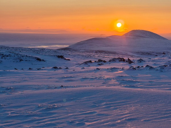Арктика территория открытия