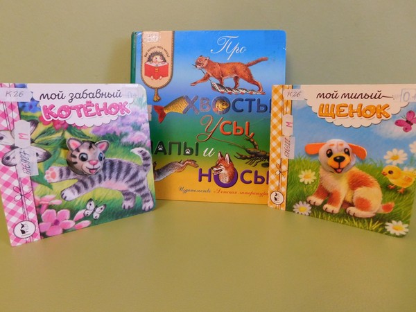 Литературная игра«Четыре лапы, пятый хвост»