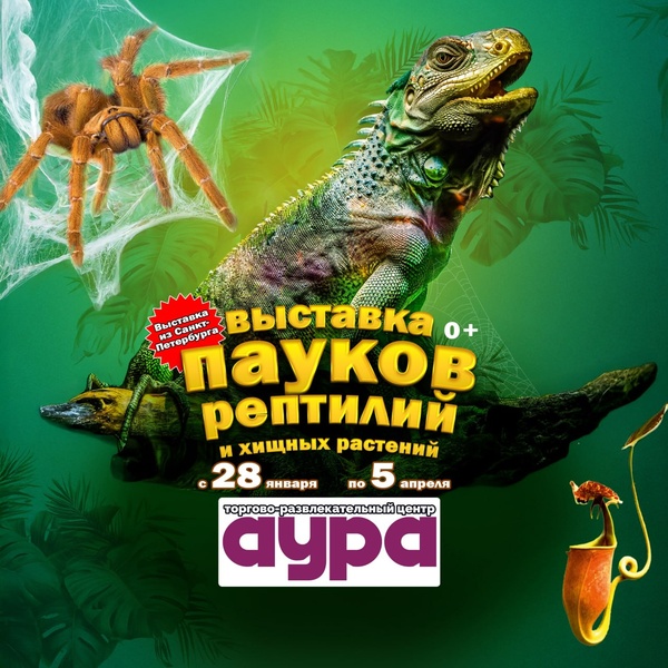 Новосибирск! Выставка «Паучья Нора»