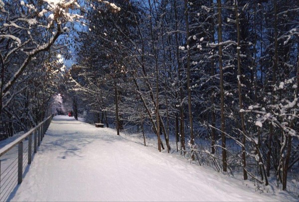 Мастер-класс «Волшебный лес»