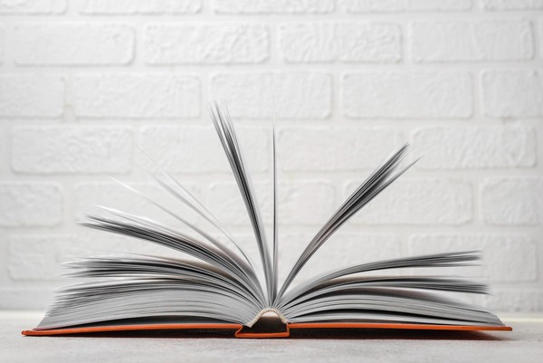 Литературная викторина «Гений сатиры»