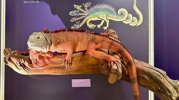 Выставка «Лев в винограднике: флора и фауна Библии»