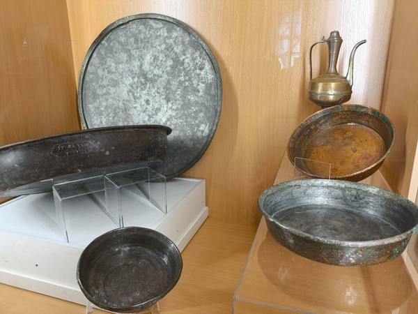 Выставка «Собираем, храним, изучаем. Итоги сезона 2025»