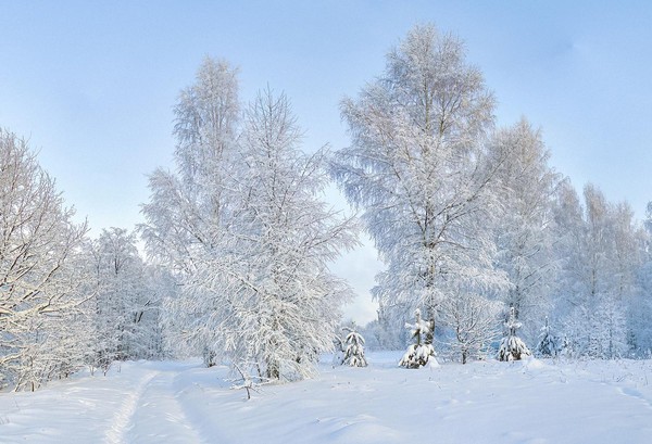 Онлайн проект «Безопасная зима»