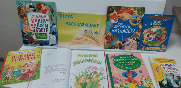 Урок информационной культуры «Книжкины премудрости»