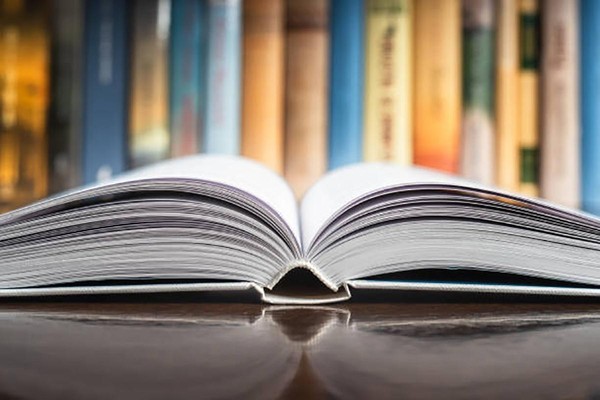 Литературная гостиная «Радуга сказок Салтыкова-Щедрина»