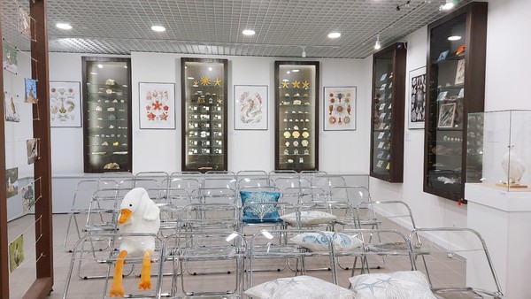 Большая экскурсия по Музею Белого моря