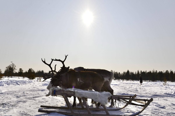 Проект «Большое путешествие. Музеи юбиляры в столице Югры»