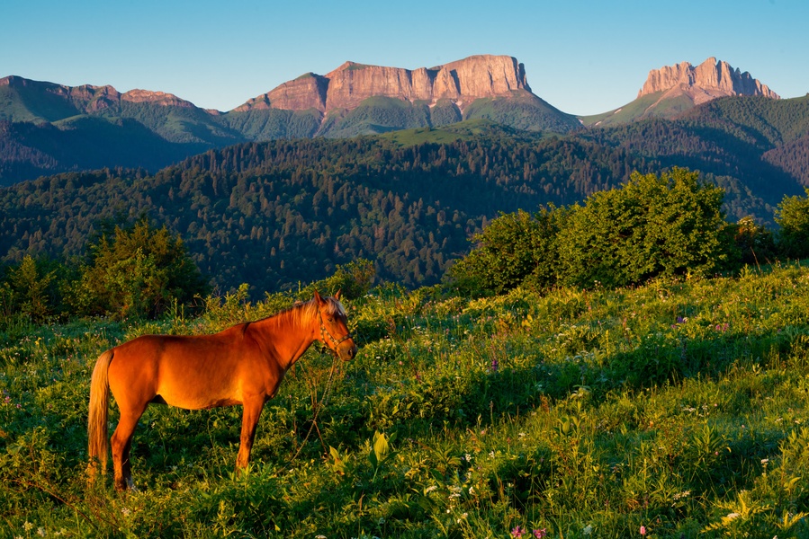 Тур по земельным участкам Адыгеи и Крыма