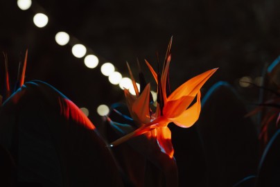 Магия свечей. Голливудские саундтреки