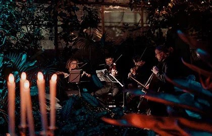 Магия свечей. Рояль при свечах: Новый Год в Хогвартсе