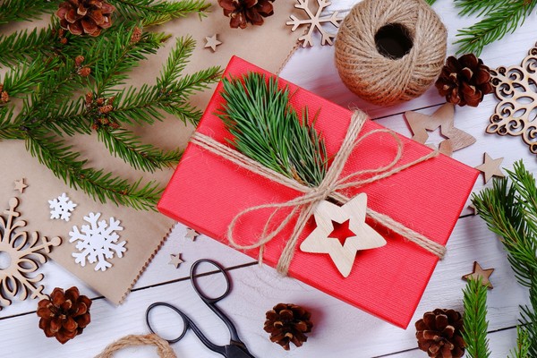 Рождество вверх тормашками, или в поисках волшебной подковы