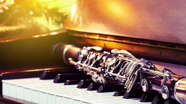 Концерт Ю. Чэни и Д. Венци