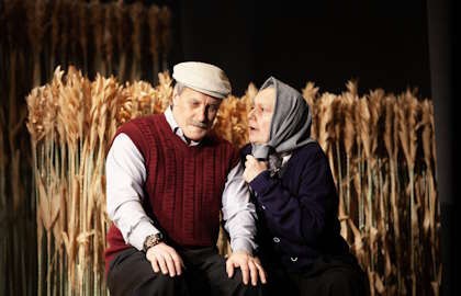 Калина красная