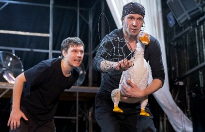 Путешествие Нильса с дикими гусями