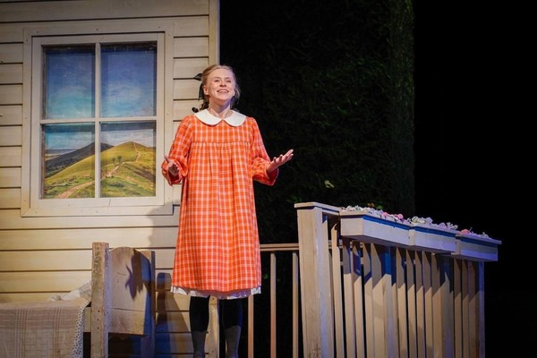 Спектакль «Поллианна»