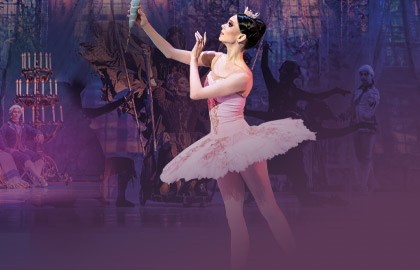 Спящая красавица