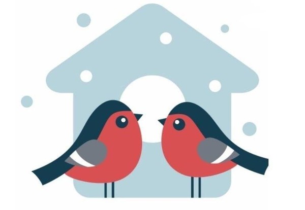 Акция «Покормите птиц зимой»