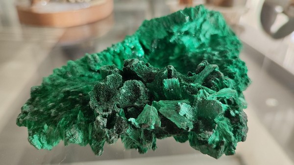 Выставка «Подкова на счастье»