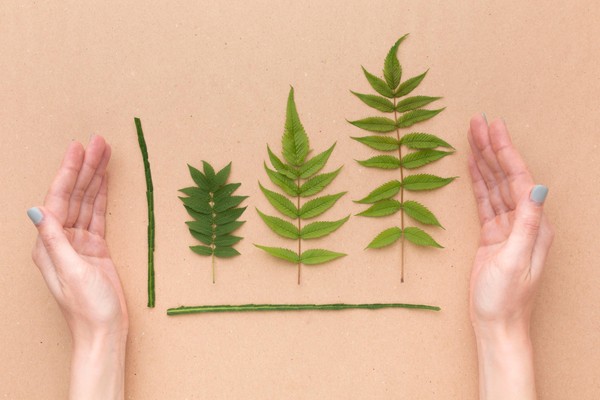 Эко-час «Наша планета»