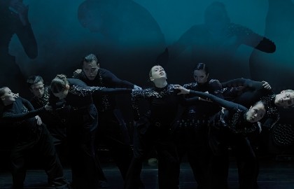 Каннон Данс. Бессердечность. Фрейя. Парадигма любви