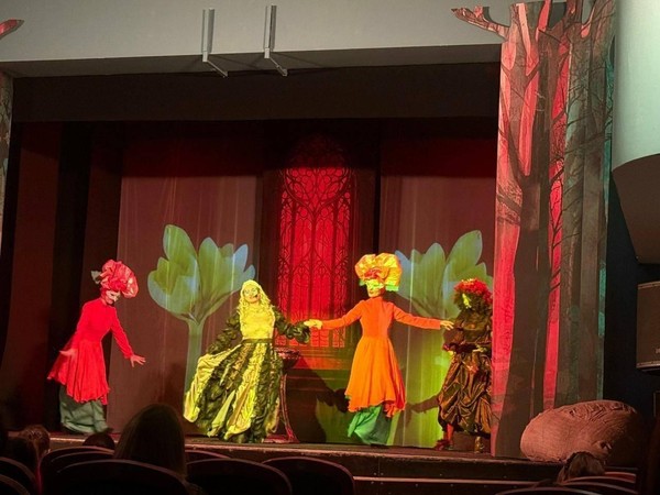 Музыкальный спектакль «Дикие лебеди»