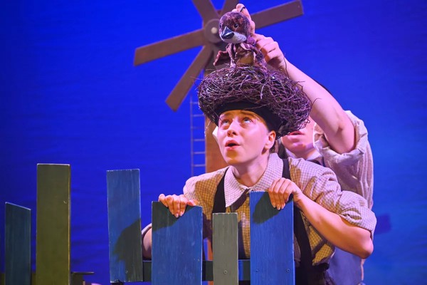 Лесная сказка