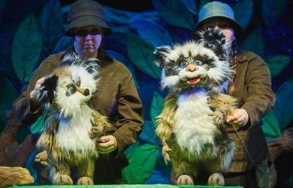 Крошка Енот