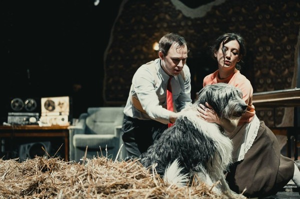 Лучшие театры мира видеоверсия спектакля: «Собачье сердце»