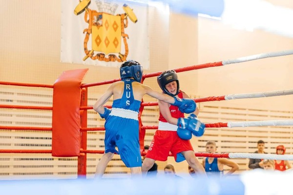 Открытое первенство Богородского городского округа по боксу