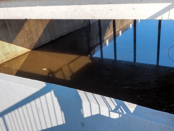 Фотовыставка Евгения Степанова «Линии и формы: от асфальта до полей»