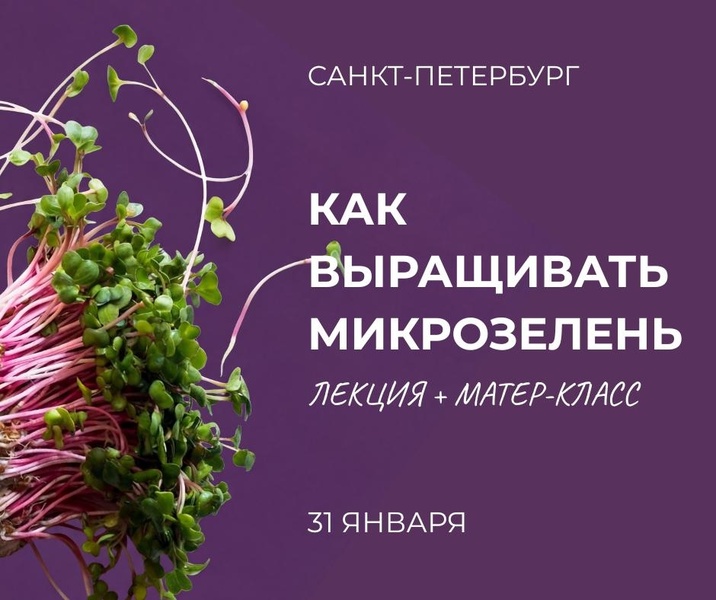 Мастер-класс+лекция: микрозелень дома