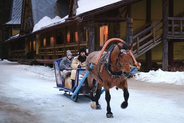 Мандроги и зимние забавы в сказочной деревне