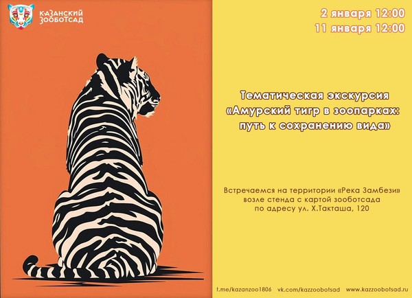 Тематическая экскурсия «Амурский тигр в зоопарках: путь к сохранению вида»