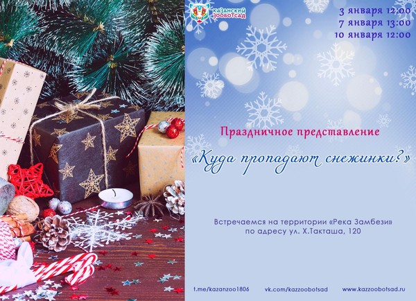 Праздничное представление «Куда пропадают снежинки?»