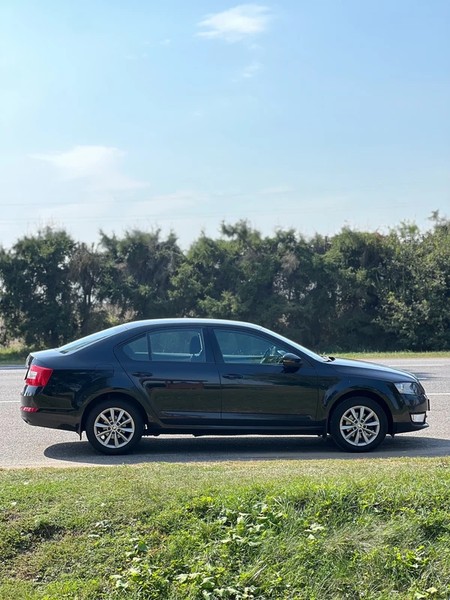 Трансфер «Минск ⇄ Гродно» с заездом в Лидский замок