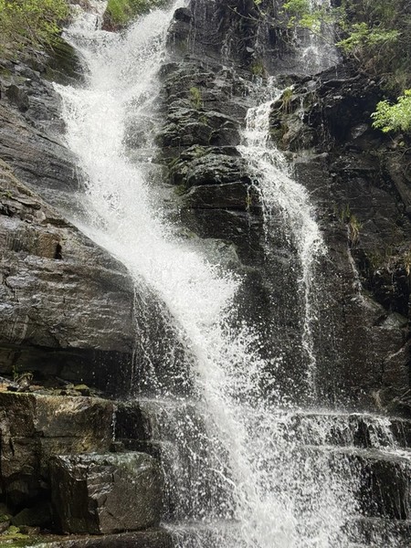 В Хосровский заповедник — из Еревана